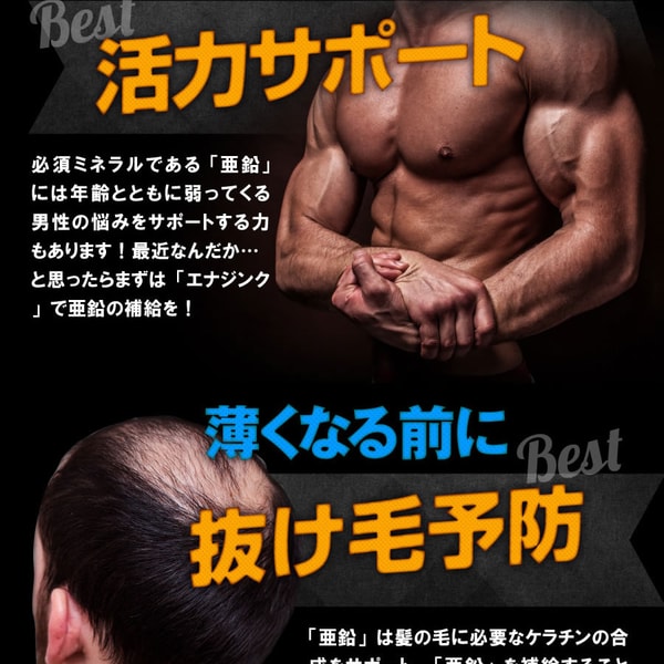 「エナジンク(ENERZINC)」のホームページ提升睪丸素 精子量 - 9