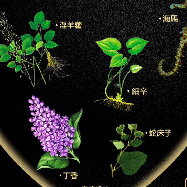 熱銷 戰勃延時印度神油 男用噴劑外用控時 持久噴霧不麻木 - 7