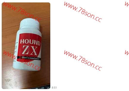 日本原裝獵犬 Hound ZX 陰莖增大增大膠囊60粒站長強力推薦 - 3