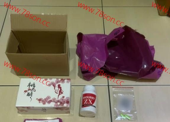日本原裝獵犬 Hound ZX 陰莖增大增大膠囊60粒站長強力推薦 - 5