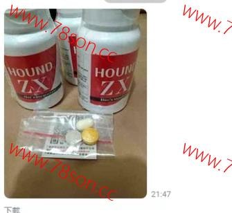 日本原裝獵犬 Hound ZX 陰莖增大增大膠囊60粒站長強力推薦 - 7