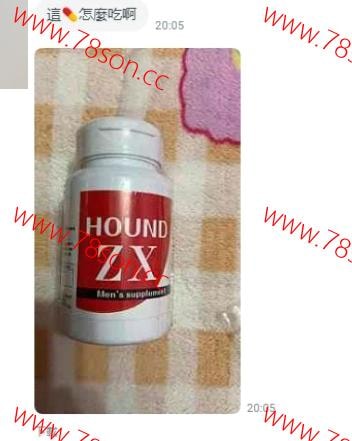 日本原裝獵犬 Hound ZX 陰莖增大增大膠囊60粒站長強力推薦 - 12
