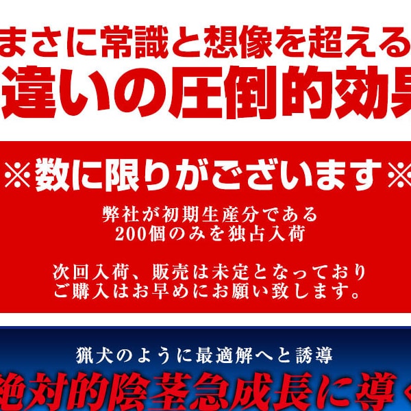 日本原裝獵犬 Hound ZX 陰莖增大增大膠囊60粒站長強力推薦 - 16