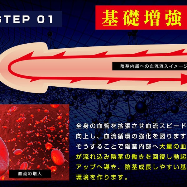 日本原裝獵犬 Hound ZX 陰莖增大增大膠囊60粒站長強力推薦 - 21
