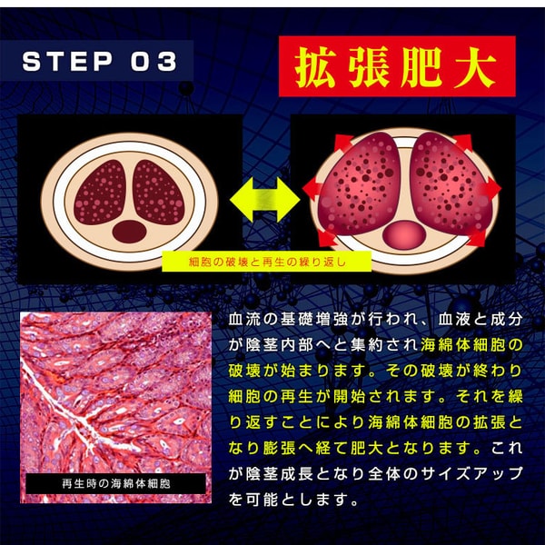 日本原裝獵犬 Hound ZX 陰莖增大增大膠囊60粒站長強力推薦 - 23